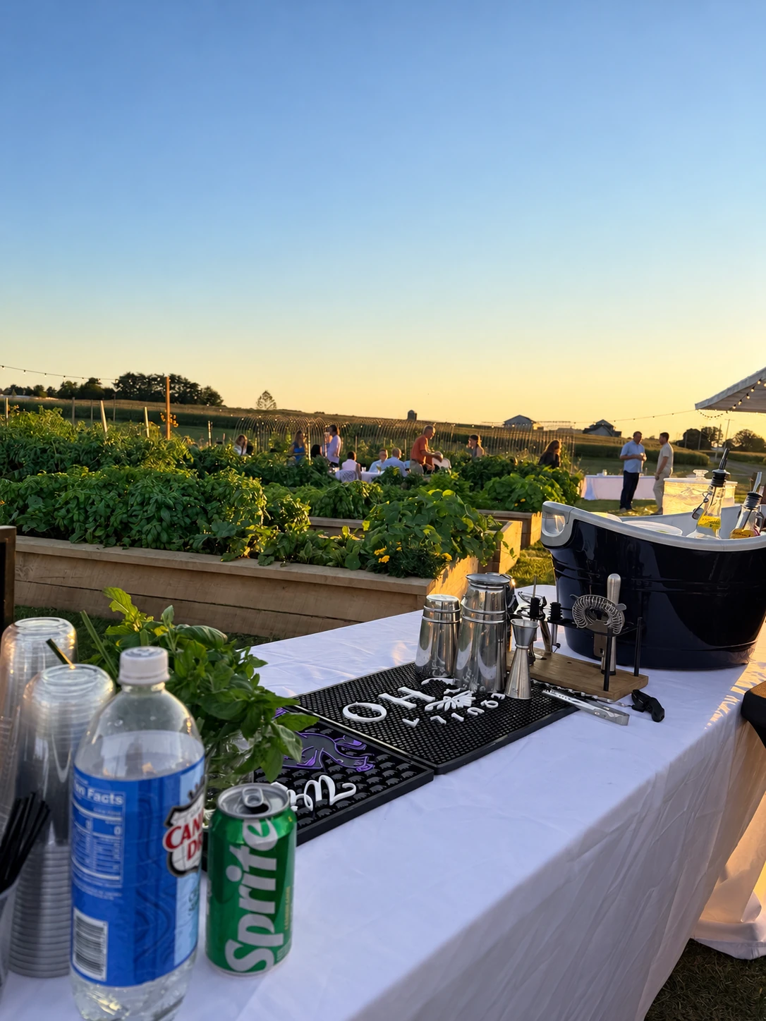 Bar service overlooking a garden event at golden hour