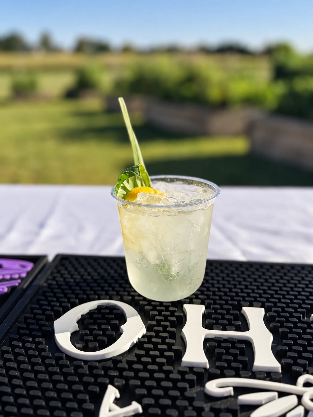 A signature citrus cocktail with a fresh basil garnish